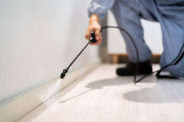 Licensed Mosquito Control service in South Sarasota, FL - Show Me Pest Control