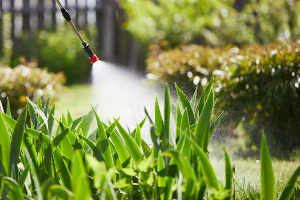 24/7 Emergency Mosquito Control experts in South Sarasota, FL