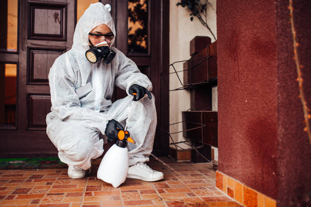 Reliable Mosquito Control contractor in South Sarasota, FL by Show Me Pest Control